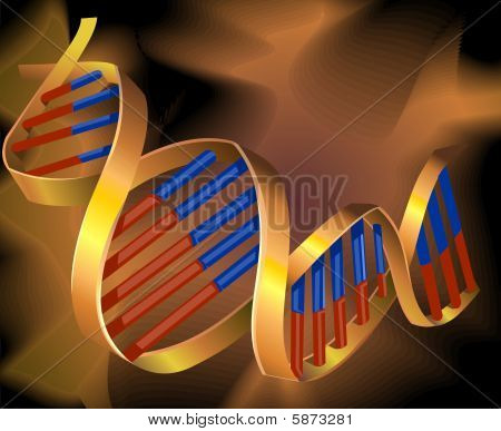 ADN