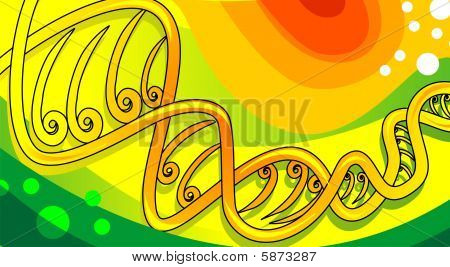 DNA