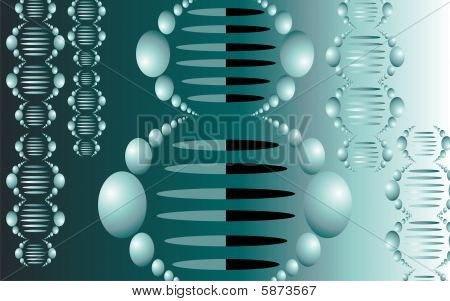 DNA