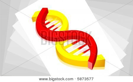DNA model