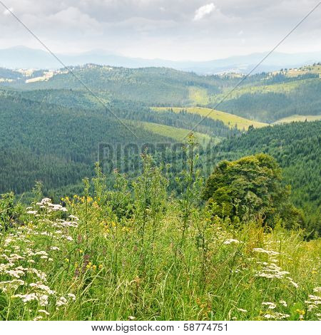 Scenic Mountains  Against The Blue Sky
