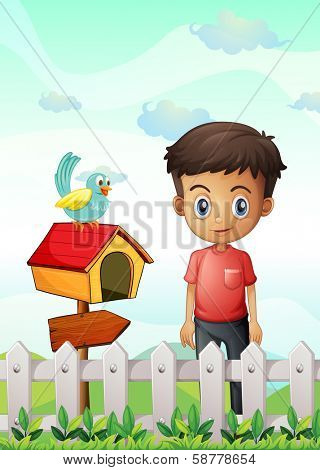 Illustration of a boy near the pethouse with a bird and a wooden arrowboard