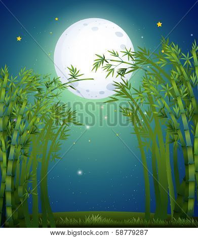 Illustration of a bamboo forest under the bright fullmoon
