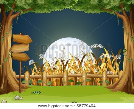 Illustration of a forest with wooden arrowboards