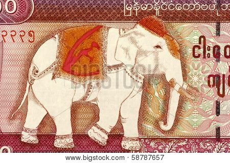 MYANMAR - CIRCA 2009: Elephant on 5000 Kyat 2009 Banknote from Myanmar.