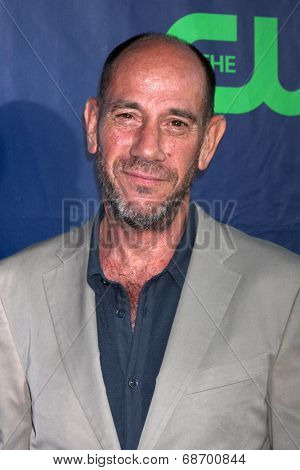 LOS ANGELES - JUL 17:  Miguel Ferrer at the CBS TCA July 2014 Party at the Pacific Design Center on July 17, 2014 in West Hollywood, CA