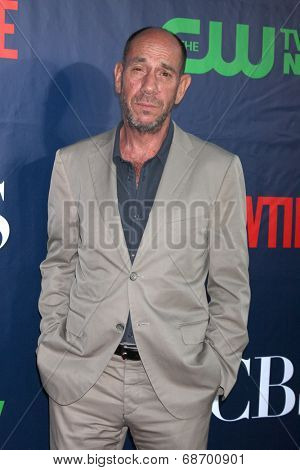 LOS ANGELES - JUL 17:  Miguel Ferrer at the CBS TCA July 2014 Party at the Pacific Design Center on July 17, 2014 in West Hollywood, CA