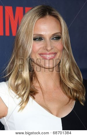 LOS ANGELES - JUL 17:  Vinessa Shaw at the CBS TCA July 2014 Party at the Pacific Design Center on July 17, 2014 in West Hollywood, CA