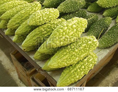 A row of bitter gourds