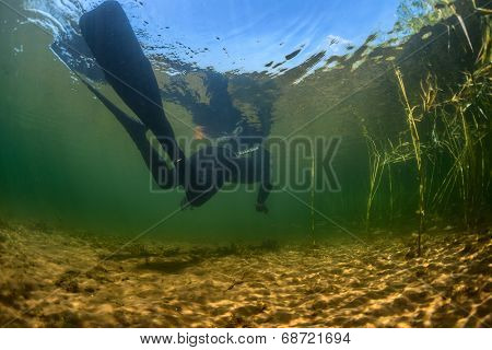 Underwater shot of the spearfisher moving in the reed