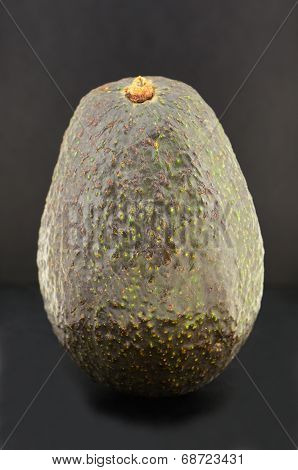 Hass Avocado