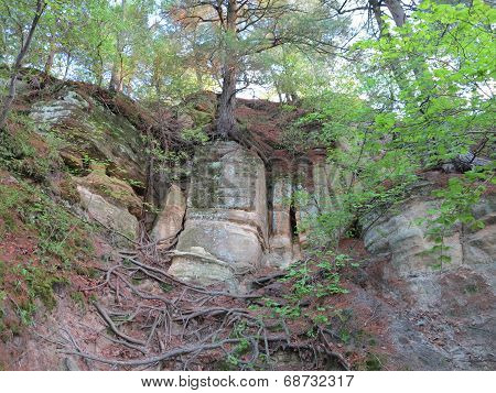 Box Canyon at Starved Rock State Park with Spring Time Tree Growth