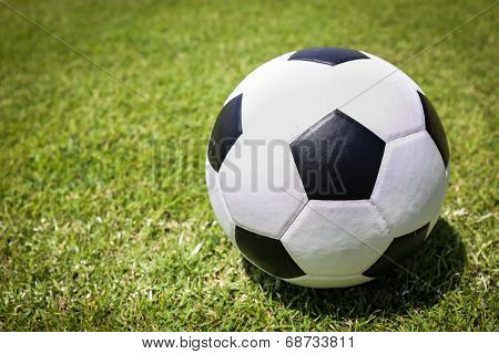 Soccer Ball On Green Grass