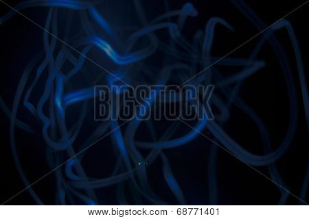 Light Painting