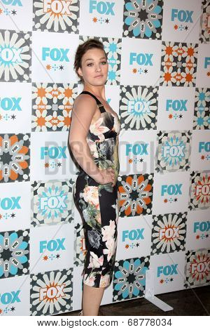 LOS ANGELES - JUL 20:  Virginia Kull at the FOX TCA July 2014 Party at the Soho House on July 20, 2014 in West Hollywood, CA