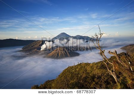 Mt. Bromo, Indonesia