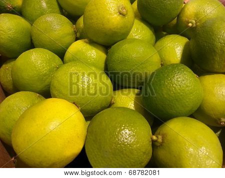 Limes