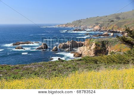 California