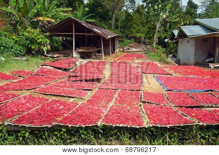 Red Chips