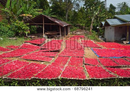 Red Chips