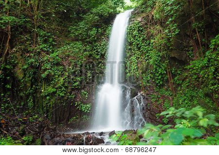 Small Waterfall In Jungle