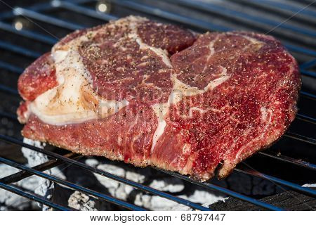 Grass Fed Meat