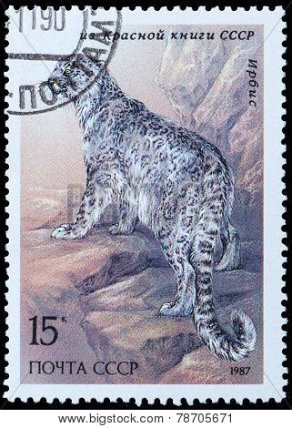 Endangered Wildlife
