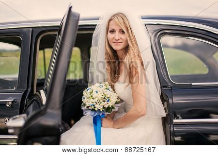 Beautiful Wedding