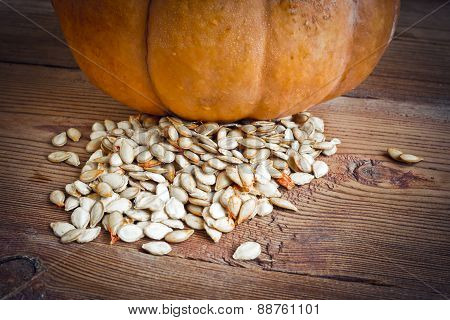 pumpkin and seeds on wood background