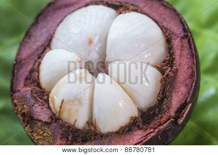 Single Mangostin And Fresh Green Leaf
