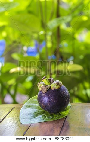 Single Mangostin And Fresh Green Leaf