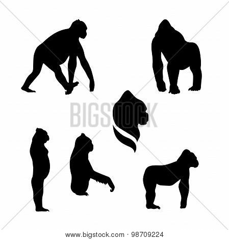 Gorilla monkey vector silhouettes.