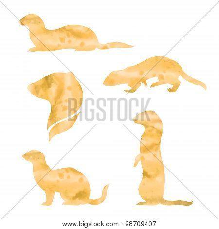Vector watercolor silhouettes of a ferret.