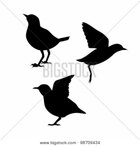 Dipper vector silhouettes.