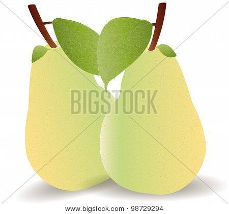 Pear