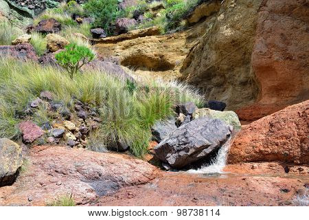 Gran Canaria