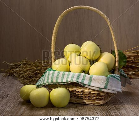 Apples Varieties Of Papirovka In The Basket