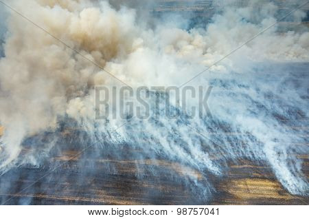 Fire On The Field