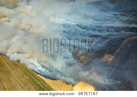 Fire On The Field