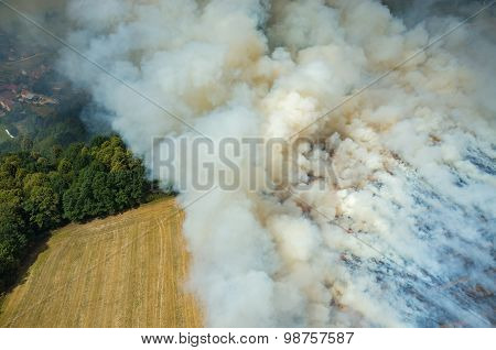 Fire On The Field
