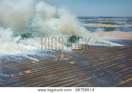 Fire On The Field