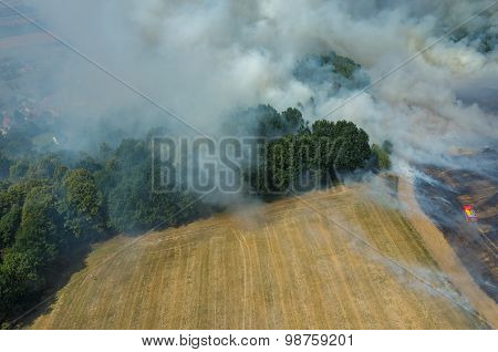 Fire On The Field