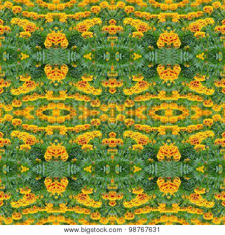 French Marigold Seamless Pattern Background