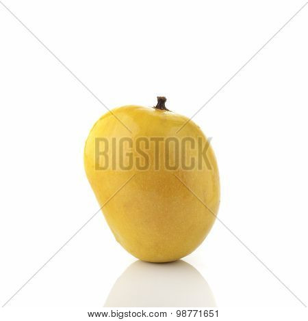 Golden Yellow Alphonso Mango on White Background shot in studio
