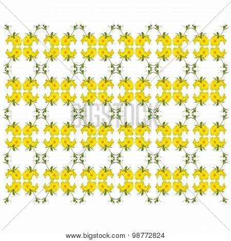 Allamanda Cathartica Seamless Pattern Background