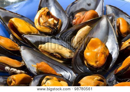 Mussels steamed