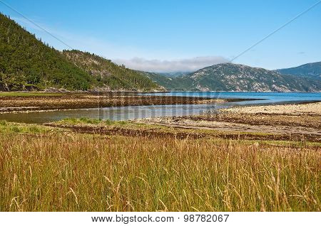 River estuary by fiord