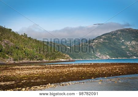River estuary by fiord