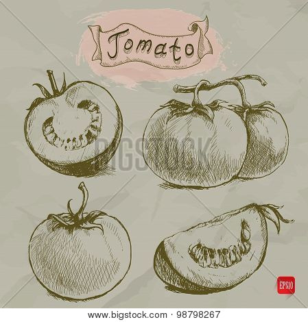Set of hand drawn sketch style tomatoes doodles
