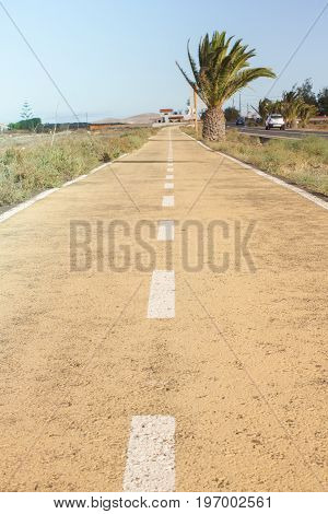 Dirt road. Off road, spring dry grass. Desert, palm ground stone way